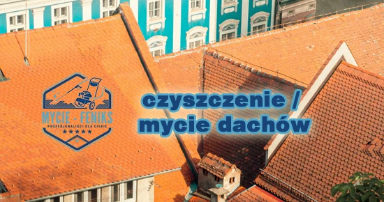 Czyszczenie dachów Gorzów, Szczecin, Chojna, Kostrzyn, Myślibórz, Pyrzyce,